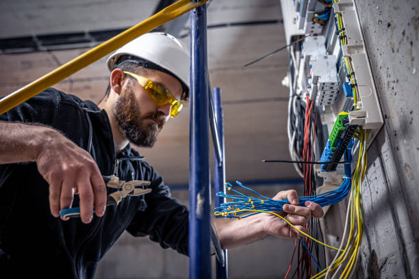 Best Electric Panel Repair  in Greenville, DE